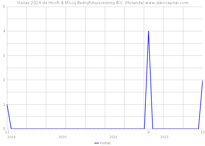 Visitas 2024 de Hooft & Mooij Bedrijfshuisvesting B.V. (Holanda) 