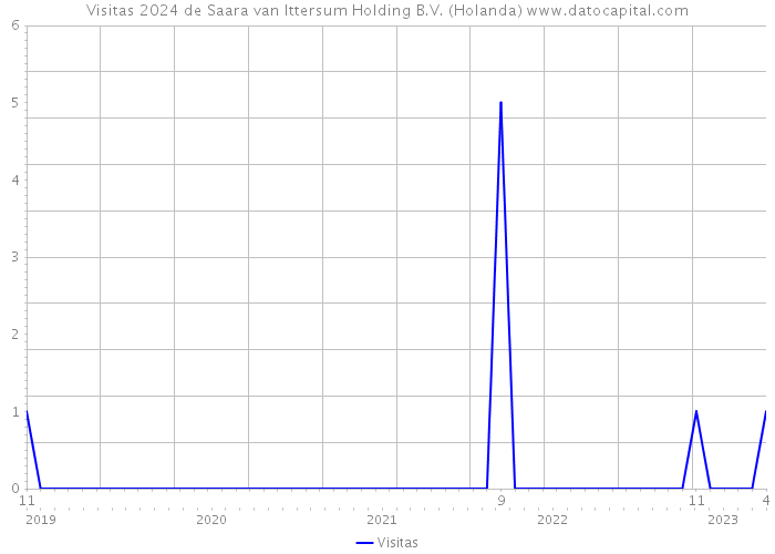 Visitas 2024 de Saara van Ittersum Holding B.V. (Holanda) 