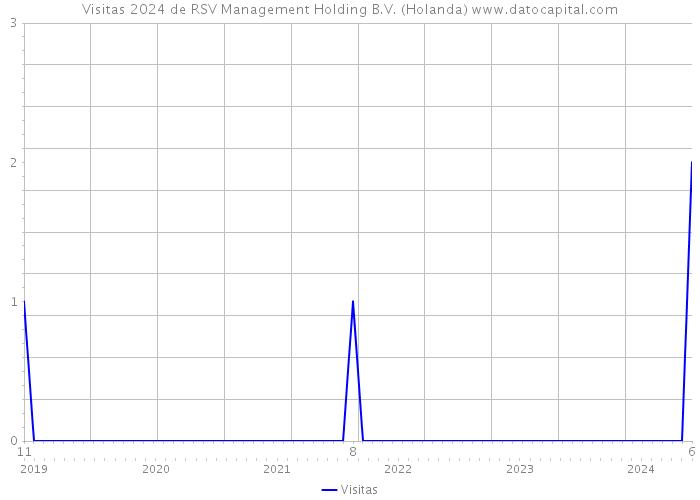 Visitas 2024 de RSV Management Holding B.V. (Holanda) 
