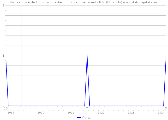 Visitas 2024 de Homburg Eastern Europe Investments B.V. (Holanda) 