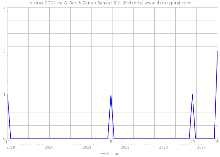 Visitas 2024 de G. Bos & Zonen Beheer B.V. (Holanda) 