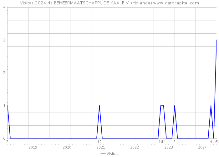 Visitas 2024 de BEHEERMAATSCHAPPIJ DE KAAI B.V. (Holanda) 