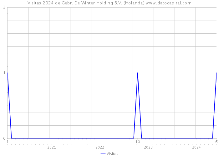 Visitas 2024 de Gebr. De Winter Holding B.V. (Holanda) 