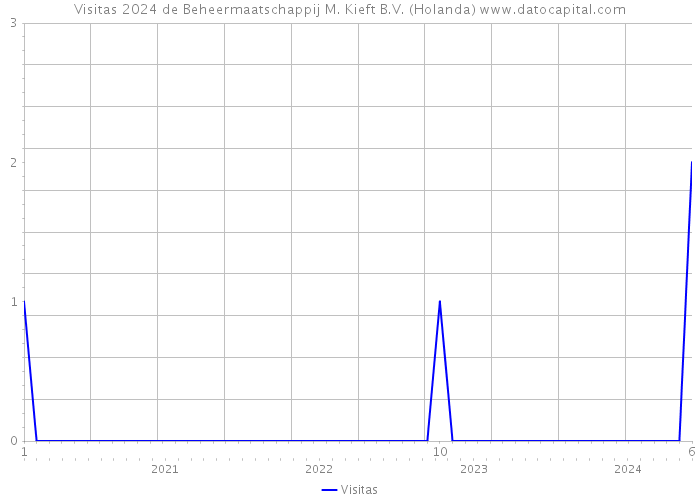 Visitas 2024 de Beheermaatschappij M. Kieft B.V. (Holanda) 