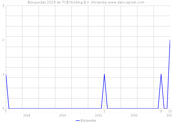 Búsquedas 2024 de TCB Holding B.V. (Holanda) 