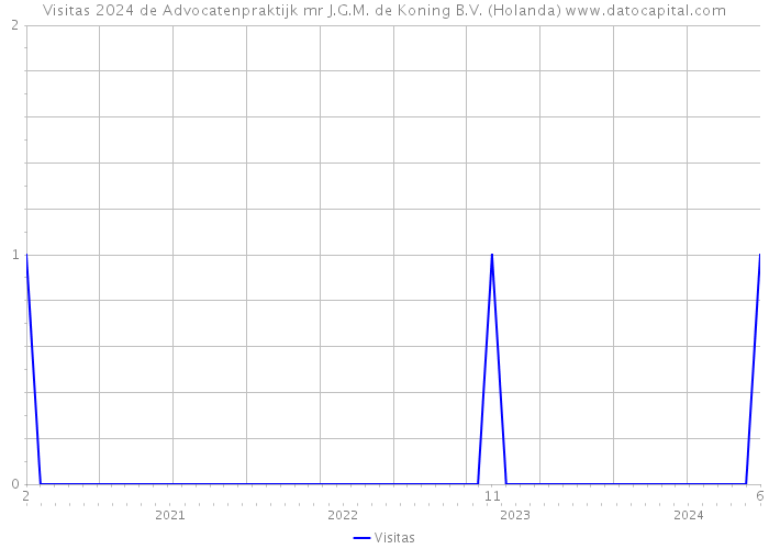 Visitas 2024 de Advocatenpraktijk mr J.G.M. de Koning B.V. (Holanda) 