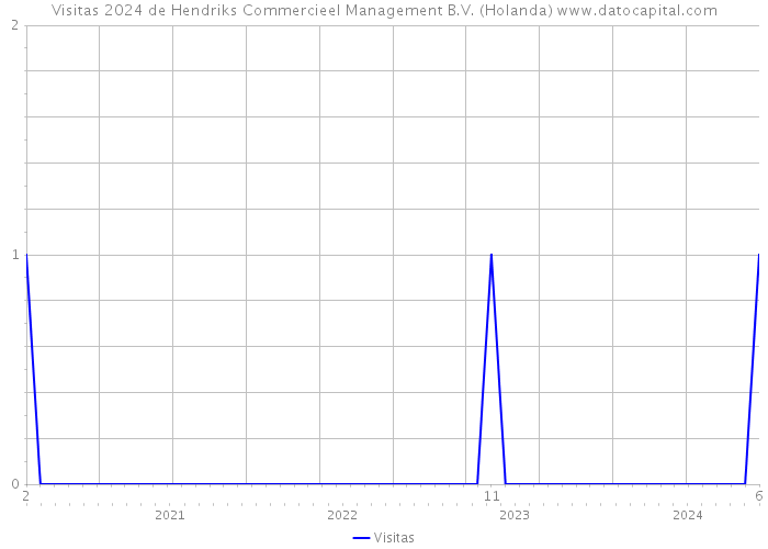 Visitas 2024 de Hendriks Commercieel Management B.V. (Holanda) 