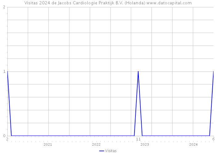 Visitas 2024 de Jacobs Cardiologie Praktijk B.V. (Holanda) 