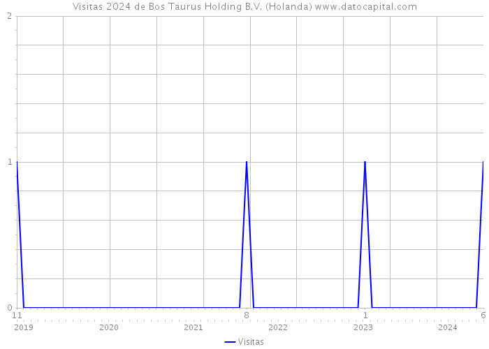 Visitas 2024 de Bos Taurus Holding B.V. (Holanda) 