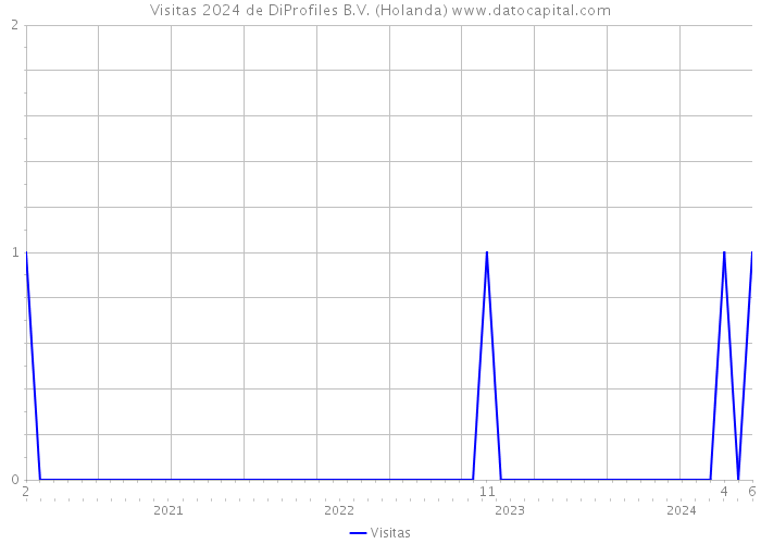 Visitas 2024 de DiProfiles B.V. (Holanda) 