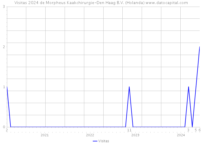 Visitas 2024 de Morpheus Kaakchirurgie-Den Haag B.V. (Holanda) 