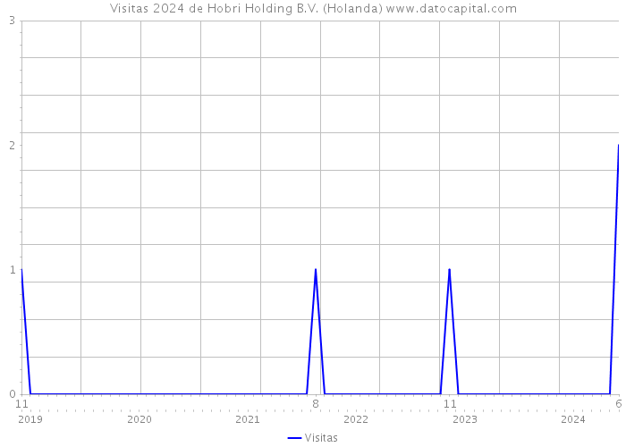 Visitas 2024 de Hobri Holding B.V. (Holanda) 