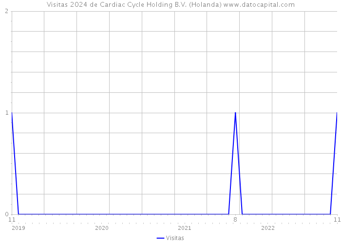 Visitas 2024 de Cardiac Cycle Holding B.V. (Holanda) 