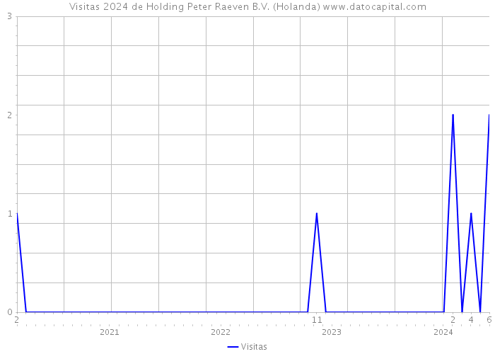 Visitas 2024 de Holding Peter Raeven B.V. (Holanda) 