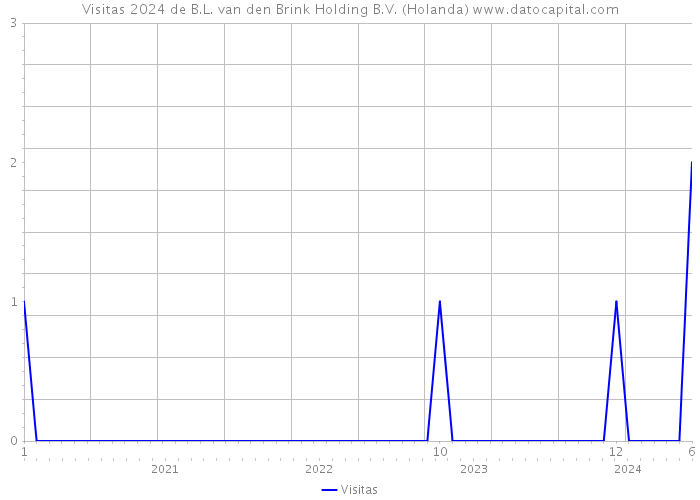 Visitas 2024 de B.L. van den Brink Holding B.V. (Holanda) 