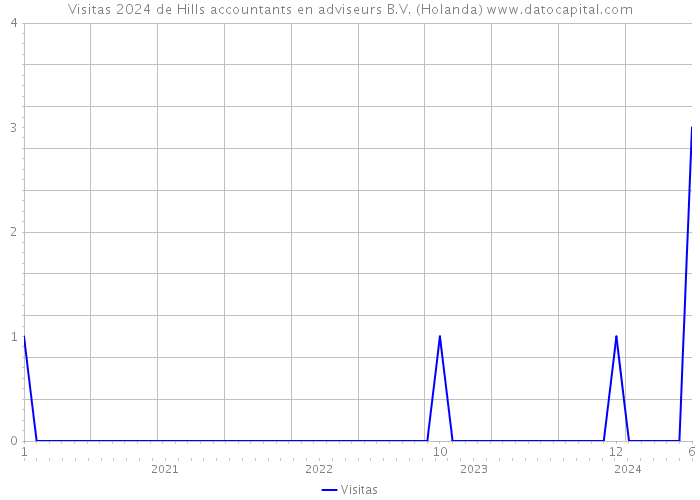 Visitas 2024 de Hills accountants en adviseurs B.V. (Holanda) 