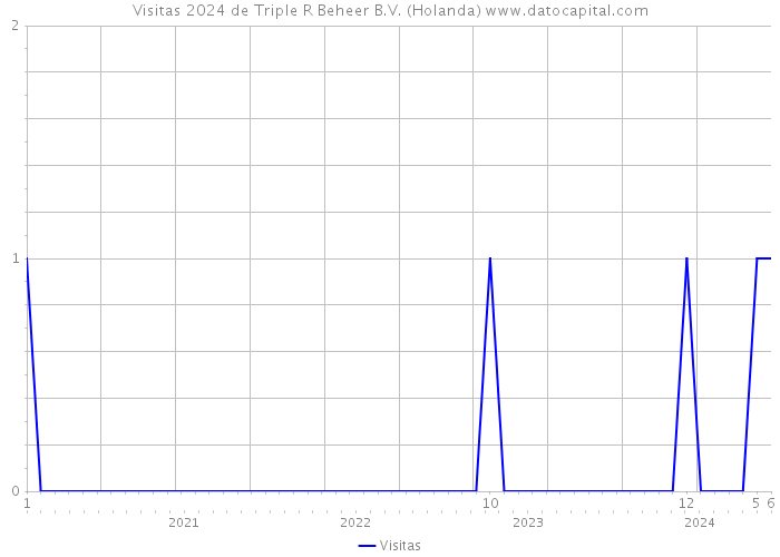 Visitas 2024 de Triple R Beheer B.V. (Holanda) 