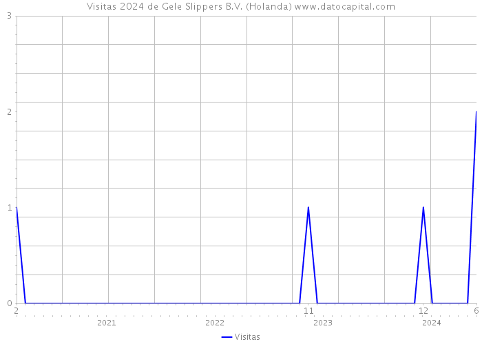 Visitas 2024 de Gele Slippers B.V. (Holanda) 