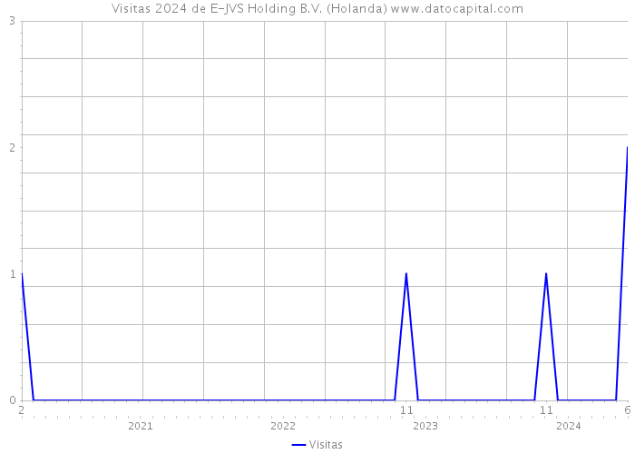 Visitas 2024 de E-JVS Holding B.V. (Holanda) 