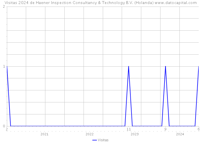 Visitas 2024 de Haener Inspection Consultancy & Technology B.V. (Holanda) 