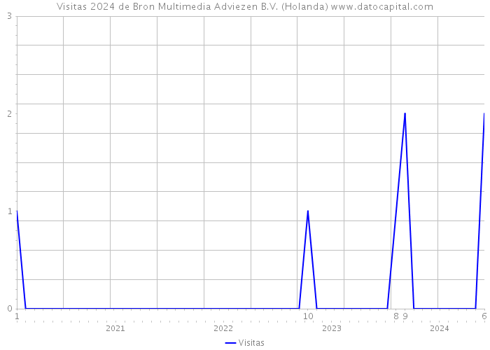 Visitas 2024 de Bron Multimedia Adviezen B.V. (Holanda) 