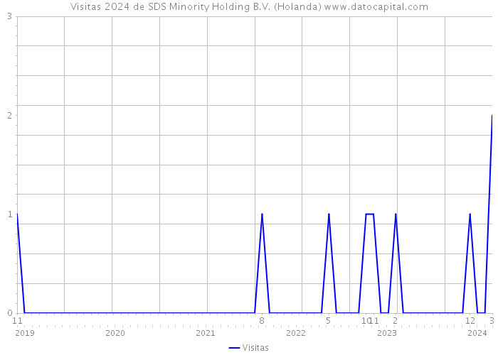 Visitas 2024 de SDS Minority Holding B.V. (Holanda) 