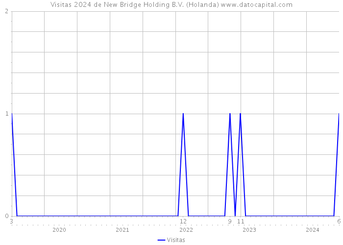 Visitas 2024 de New Bridge Holding B.V. (Holanda) 