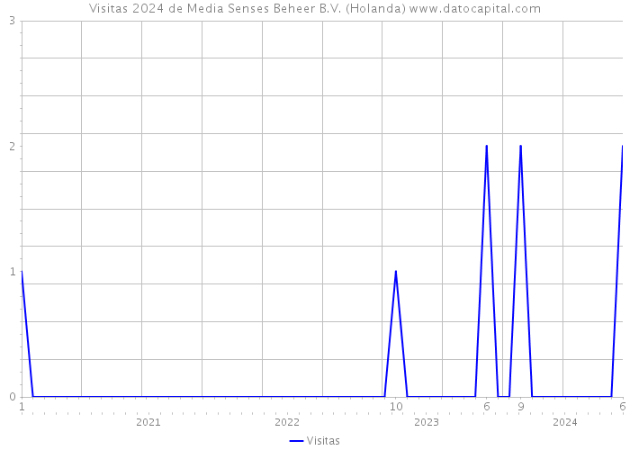 Visitas 2024 de Media Senses Beheer B.V. (Holanda) 