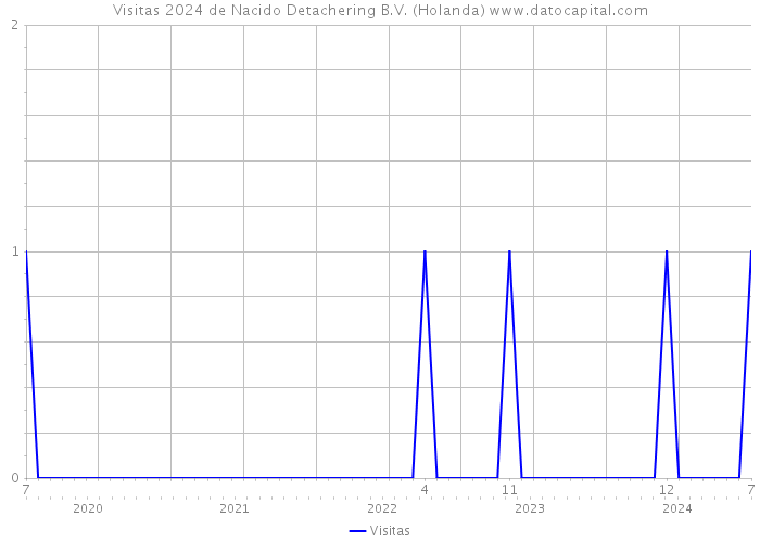 Visitas 2024 de Nacido Detachering B.V. (Holanda) 