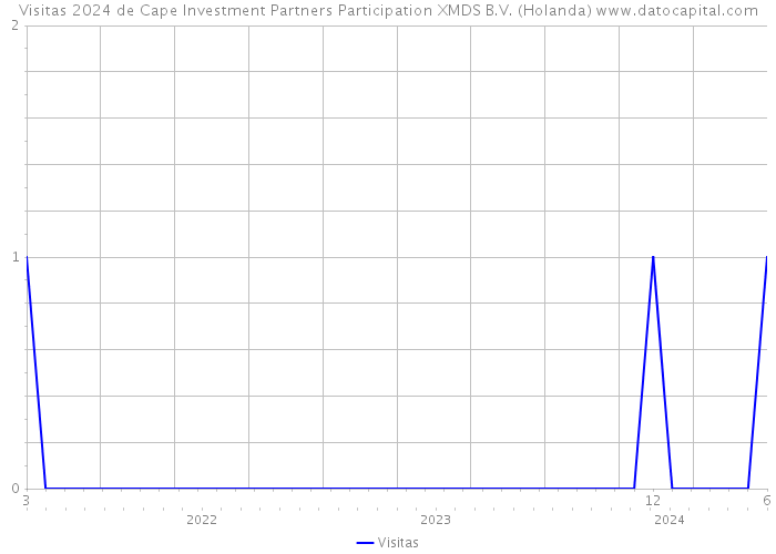 Visitas 2024 de Cape Investment Partners Participation XMDS B.V. (Holanda) 