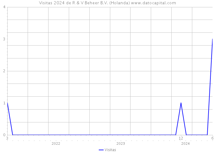 Visitas 2024 de R & V Beheer B.V. (Holanda) 