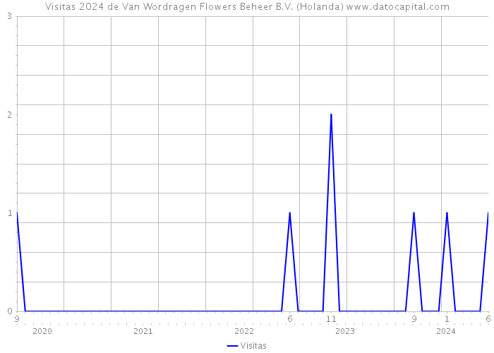 Visitas 2024 de Van Wordragen Flowers Beheer B.V. (Holanda) 