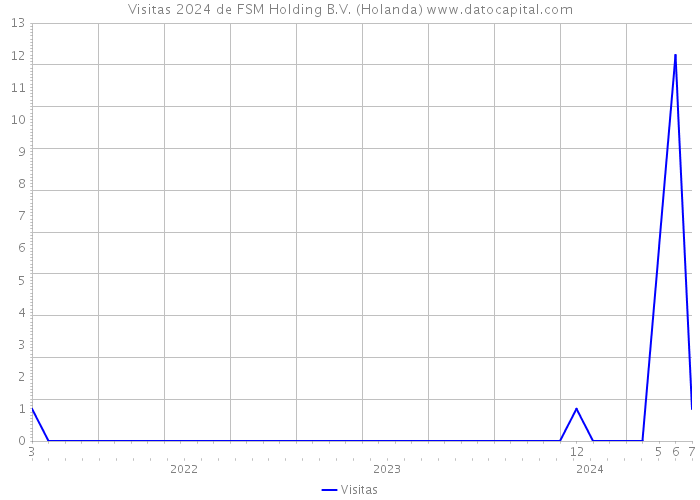 Visitas 2024 de FSM Holding B.V. (Holanda) 