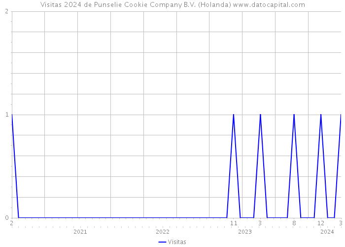 Visitas 2024 de Punselie Cookie Company B.V. (Holanda) 