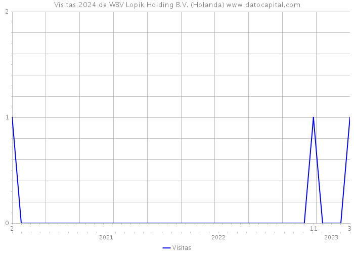 Visitas 2024 de WBV Lopik Holding B.V. (Holanda) 