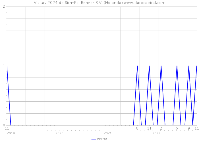 Visitas 2024 de Sim-Pel Beheer B.V. (Holanda) 