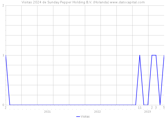 Visitas 2024 de Sunday Pepper Holding B.V. (Holanda) 