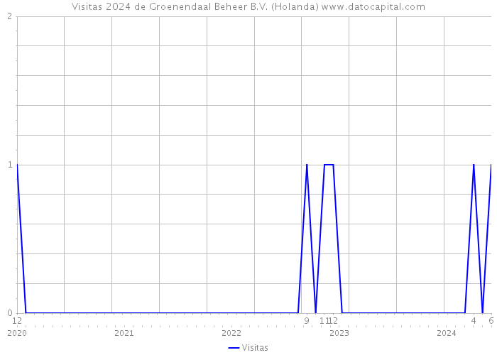 Visitas 2024 de Groenendaal Beheer B.V. (Holanda) 