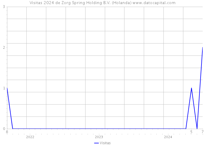 Visitas 2024 de Zorg Spring Holding B.V. (Holanda) 