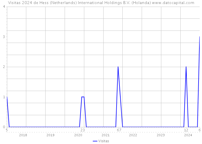 Visitas 2024 de Hess (Netherlands) International Holdings B.V. (Holanda) 