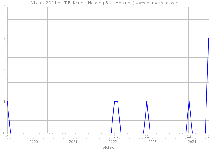 Visitas 2024 de T.F. Kennis Holding B.V. (Holanda) 