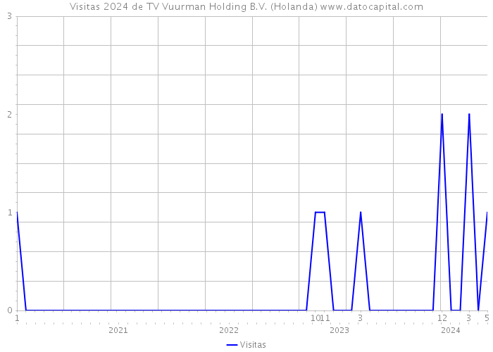 Visitas 2024 de TV Vuurman Holding B.V. (Holanda) 