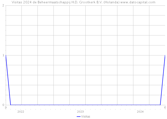 Visitas 2024 de Beheermaatschappij H.D. Grootkerk B.V. (Holanda) 