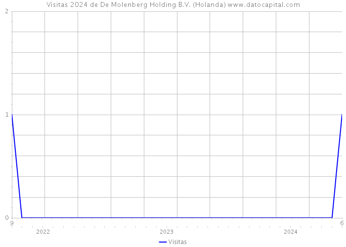 Visitas 2024 de De Molenberg Holding B.V. (Holanda) 