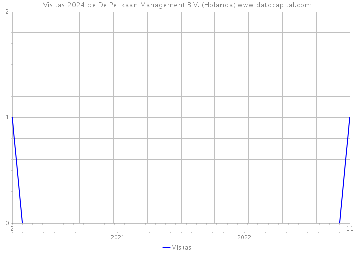 Visitas 2024 de De Pelikaan Management B.V. (Holanda) 