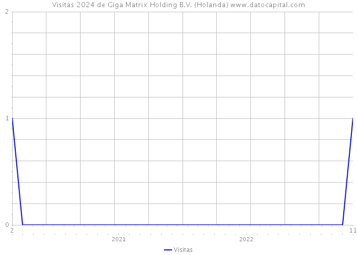Visitas 2024 de Giga Matrix Holding B.V. (Holanda) 