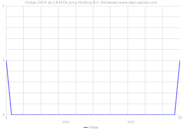 Visitas 2024 de J & M De Jong Holding B.V. (Holanda) 
