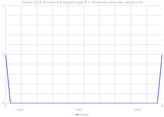 Visitas 2024 de Kupers & Niggebrugge B.V. (Holanda) 