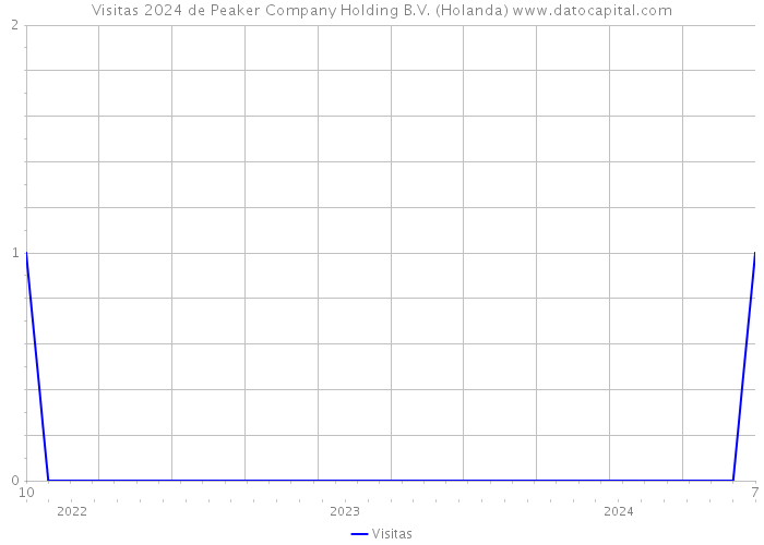 Visitas 2024 de Peaker Company Holding B.V. (Holanda) 
