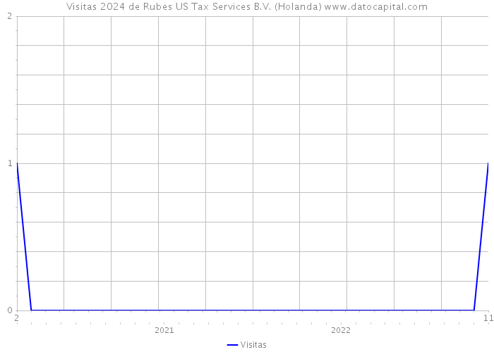 Visitas 2024 de Rubes US Tax Services B.V. (Holanda) 